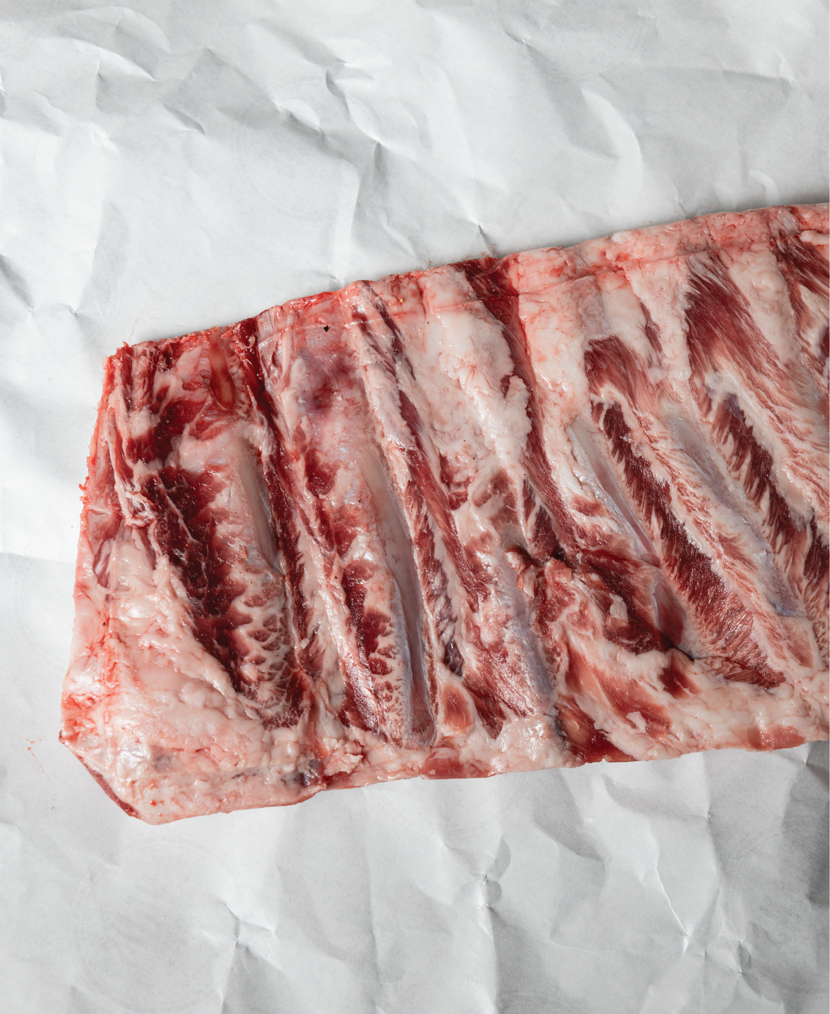 Campo Grande 100% Ibérico Pork St. Louis Ribs